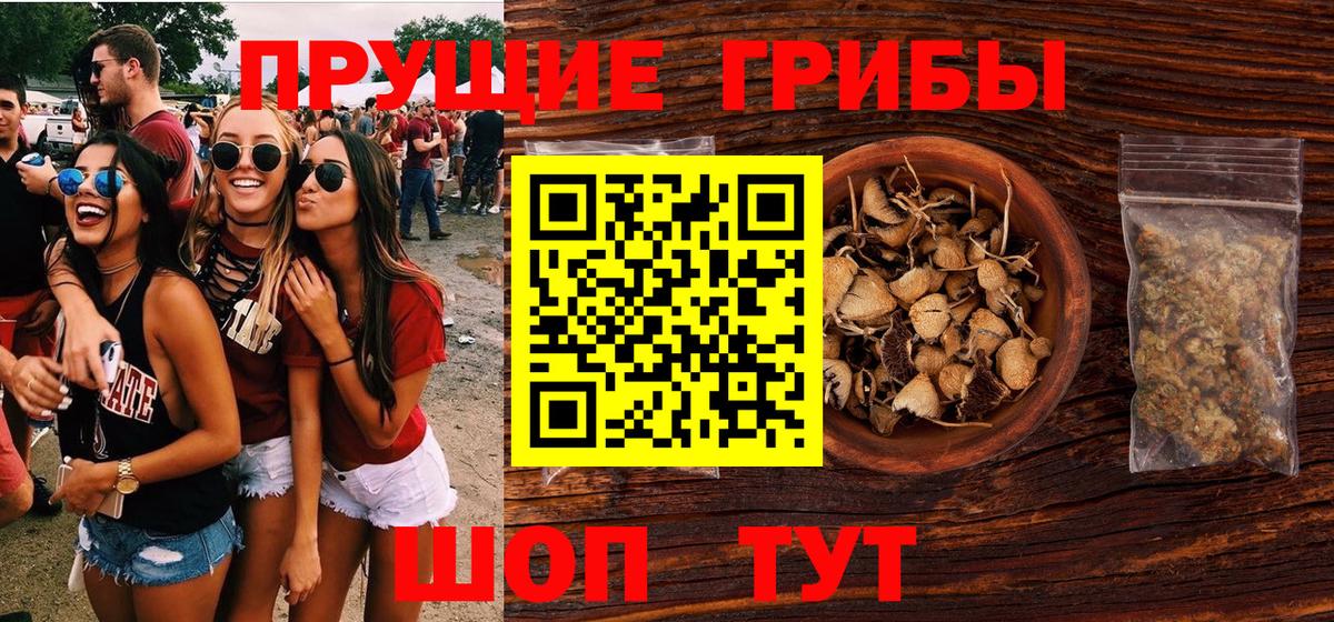 Галлюциногенные грибы Psilocybine cubensis Печора
