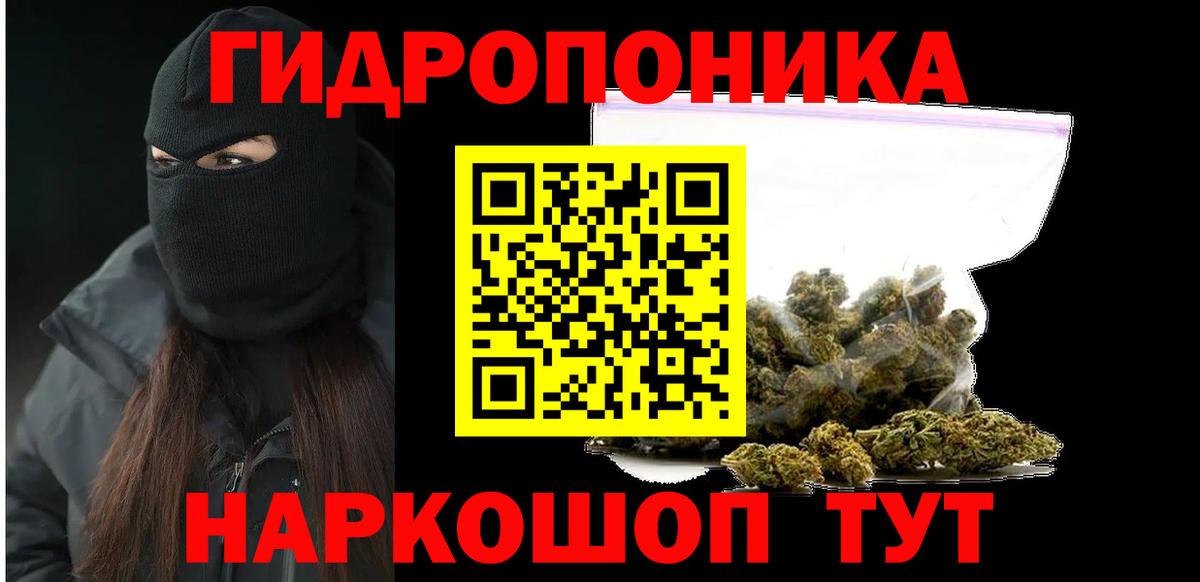 Бошки Шишки планчик Печора
